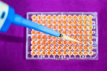 PCR Plates