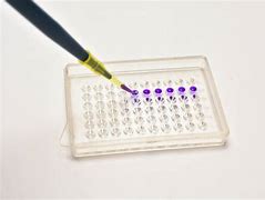 PCR Plates