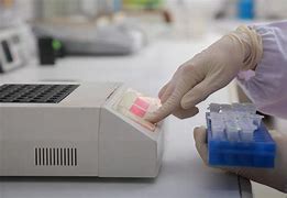 PCR Testing