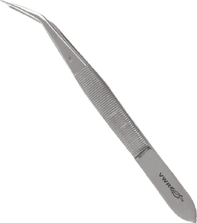VWR Dissecting Forceps, Fine Tip, Curved